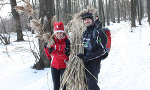 2010_12_31_2253_a.jpg