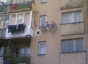 1207219341_19.jpg