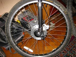 IMG_5563.JPG