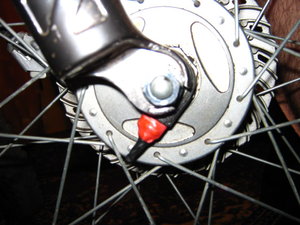 IMG_5565.JPG