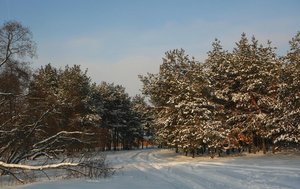 1001-5.jpg