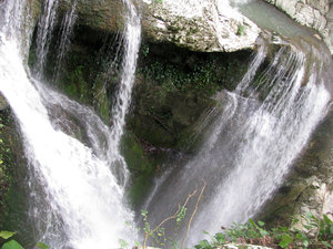 IMG_1003.jpg