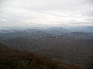 IMG_3210.jpg