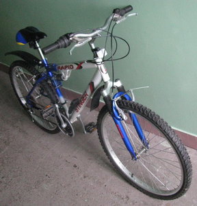 1b.jpg