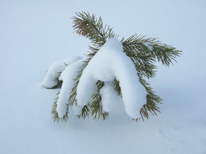 DSCF0524.JPG