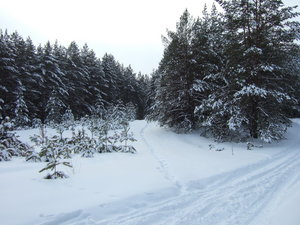 DSCF0525.JPG