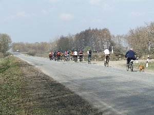 Сергей отбивается от собаки, спасая группу