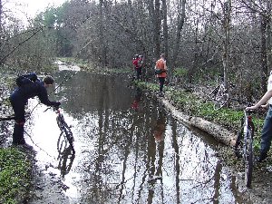 DSCF1907.JPG