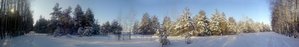 Resize of зимний лес.jpg