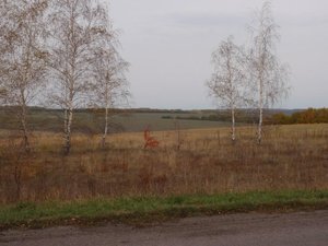 PA189419.JPG