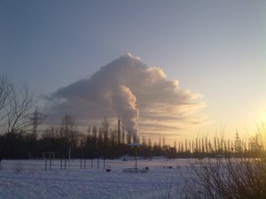 Гриб