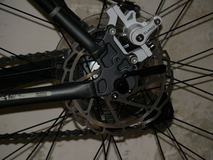 P1110567-2.jpg