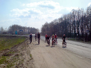 Лоси