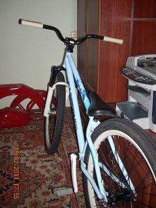 y_11af9130.jpg