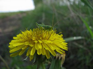 IMG_0331.jpg