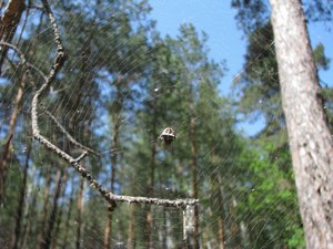 IMG_9795.jpg