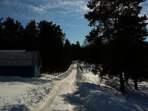 2702-1.jpg