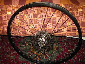IMG_5692.JPG