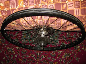 IMG_5693.JPG