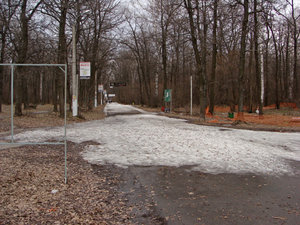 DSC02817.jpg