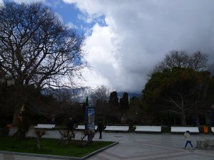 P1000036.jpg