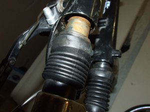 DSCF5198.jpg