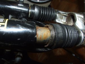 DSCF5200.jpg