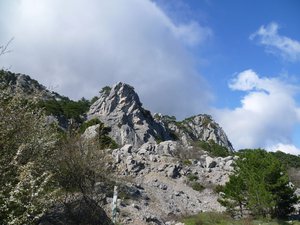 P1000086.jpg