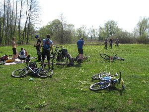 IMG_2072.jpg