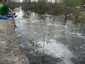 IMG_2077.jpg