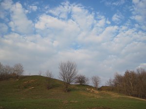 IMG_7921.JPG