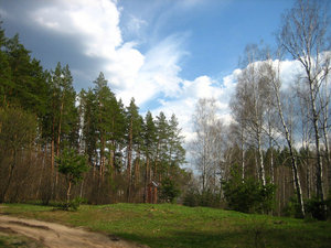 13.jpg