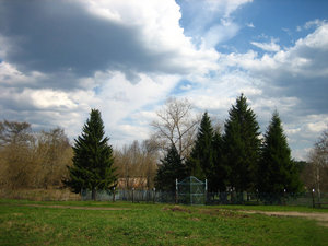 14.jpg