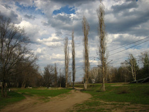 16.jpg