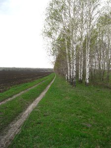 IMG_0228.jpg