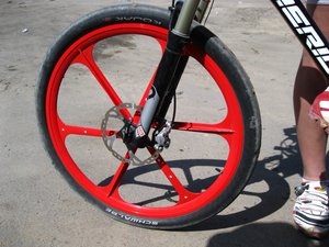 IMG_0272.jpg