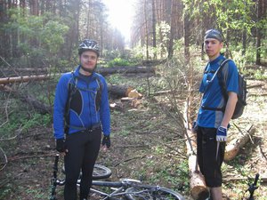 IMG_3556.jpg