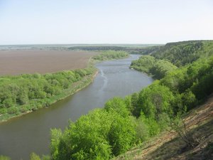 IMG_3562.jpg