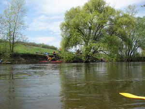IMG_4564_resize.JPG