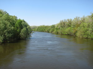 IMG_4602_resize.JPG