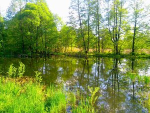 город Лиски, озеро Богатое