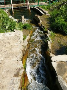 x_3e046c51.jpg
