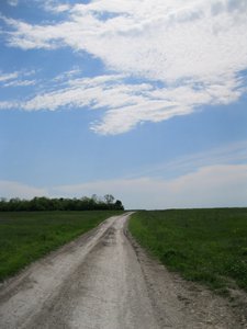 IMG_0356.jpg