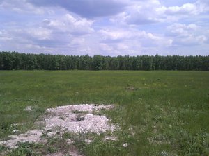 Это не просто поле, если присмотрется то посередине стоит здоровый сурок , а слево еще два(не попали в кадр) и свистят, очень прикольно.На переднем плане их норки.