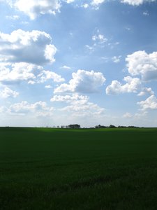 IMG_0430.jpg