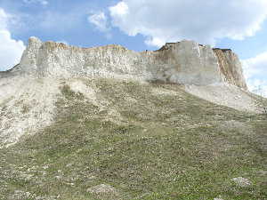 Воронежская аризонщина