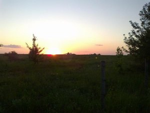 26052011040.jpg