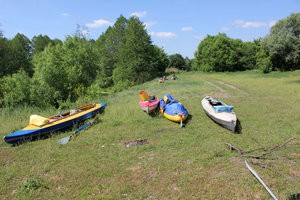 IMG_0493.jpg