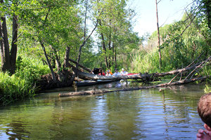 IMG_0503.jpg