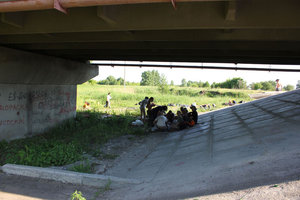IMG_0687.jpg